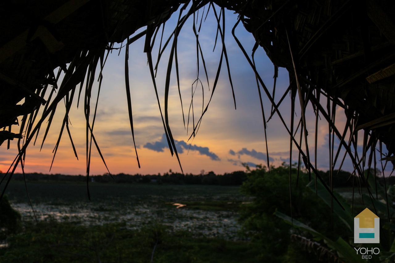 D Family Resort Anuradhapura Dış mekan fotoğraf