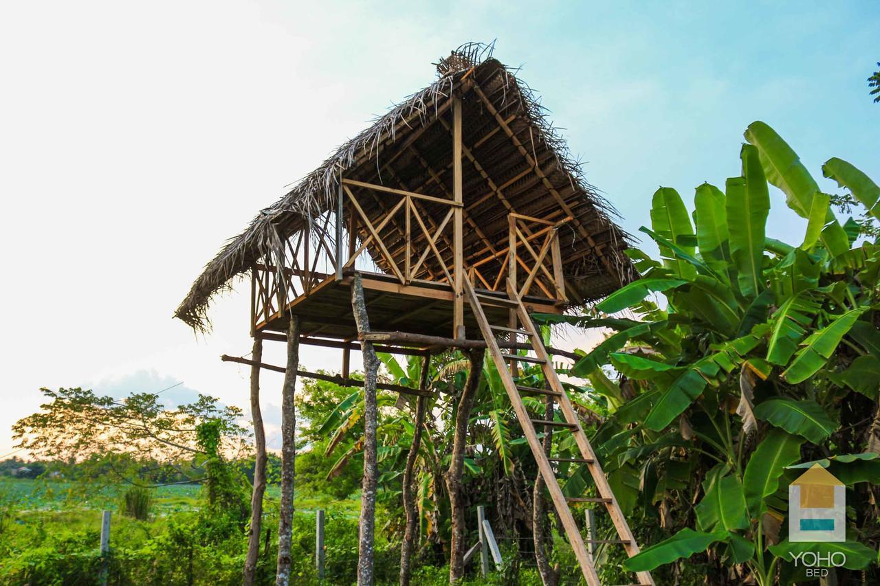 D Family Resort Anuradhapura Dış mekan fotoğraf